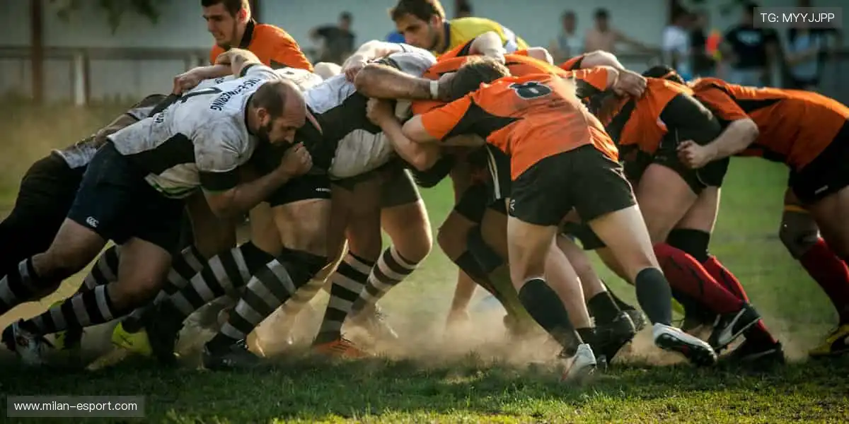 🏀✨ 巅峰对决,热血沸腾!