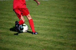 ac米兰官网-篮球运动员心理韧性培养与干预体系，篮球运动员的心理选材